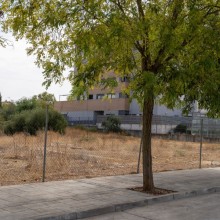 Mairena aprueba el expediente para construir las primeras 102 viviendas protegidas de su nuevo plan municipal