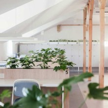 Cómo están cambiando los pequeños negocios andaluces para ser más seguros, visibles y eficientes