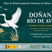 La Puebla del Río acoge la feria ‘Doñana Río de Aves’, broche final del plan ‘Doñana Sevillana 2026’ de la Diputación