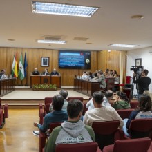 Mairena aprueba instar a la implantación del régimen de franquicia del IVA