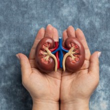 Profesionales sanitarios y pacientes advierten del crecimiento de la Enfermedad Renal Crónica en Andalucía, donde más de 12.000 personas necesitan de tratamiento de diálisis o trasplante para poder seguir viviendo