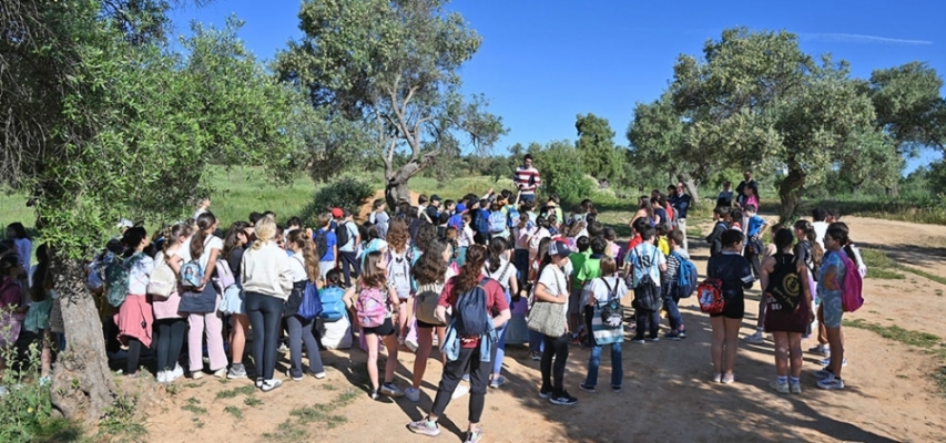 Los escolares de 4º y 5º de primaria visitan el Parque Olivar del Zaudín para ver la zona que se ha reforestado con 150 árboles