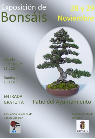 El Ayuntamiento de Olivares acoge la exposici&oacute;n de bons&aacute;is de la asociaci&oacute;n sevillana "Chokkan"