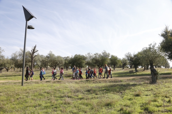 Arranca la programaci&oacute;n educativa municipal en Mairena del Aljarafe
