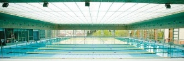 Destacada participaci&oacute;n del Club Nataci&oacute;n Mairena en la Fase Territorial del Campeonato de Espa&ntilde;a de Larga Distancia
