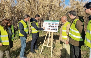 La Junta invierte m&aacute;s de 650.000 euros en la mejora de la v&iacute;a pecuaria de Pilas