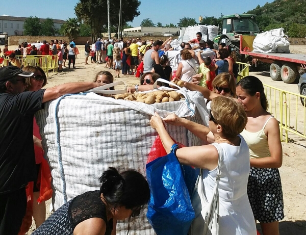 Una empresa de agricultura ecol&oacute;gica ha repartido 26.000 kg de patatas en Gelves