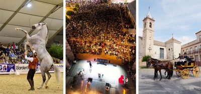 La Pará de Gines sigue creciendo  y llega a las 85.000 visitas