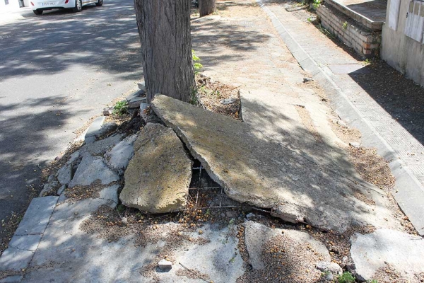 El Ayuntamiento de Espartinas destinar&aacute; 250 mil euros al arreglo de acerados y alcorques