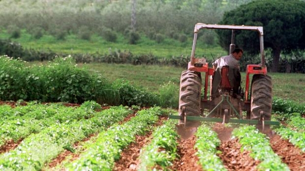 Andaluc&iacute;a supera los 26.000 millones en exportaciones en los diez primeros meses de 2019