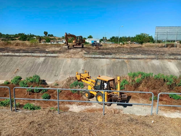 Coria del R&iacute;o, primer municipio en elaborar un plan contra el Virus del Nilo