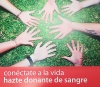 El Centro de Transfusi&oacute;n, Tejidos y C&eacute;lulas de Sevilla necesita donaciones de sangre