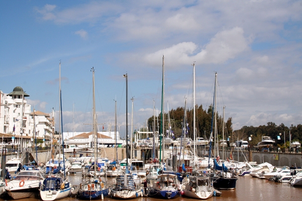 Puerto Gelves sale del Concurso de Acreedores