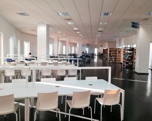 Las bibliotecas p&uacute;blicas de Mairena del Aljarafe seguir&aacute;n abiertas durante agosto