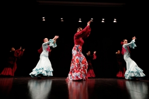 Gran afluencia de p&uacute;blico de la tercera edici&oacute;n de &ldquo;Tomares Baila&rdquo;