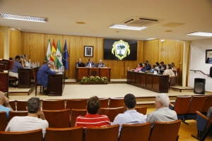 Mairena del Aljarafe recupera la propiedad de las dos torres por acuerdo de Pleno