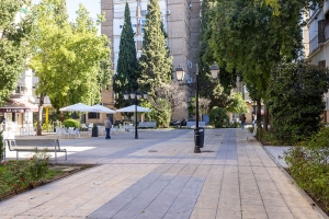 Ayuntamiento de Mairena y ETSA ofrecen un servicio gratuito de diagn&oacute;stico de viviendas con da&ntilde;os