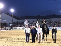 Brillante exhibici&oacute;n de Doma a la Amazona en la XVI Semana del Caballo de Carmona