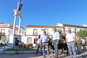 Salteras recupera su tradici&oacute;n vitivin&iacute;cola medio siglo despu&eacute;s