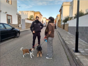 Albaida pone en marcha una campa&ntilde;a de control y vigilancia para mantener sus calles limpias de excrementos de animales