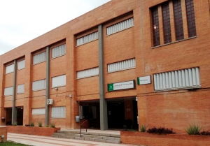 La Junta invierte 114.000 euros en reparar las grietas y fisuras del IES N&eacute;stor Almendros de Tomares