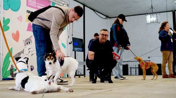 Llega a Espartinas este domingo la IV Feria de Adopci&oacute;n Animal