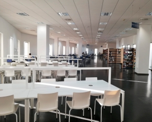 Las bibliotecas p&uacute;blicas de Mairena del Aljarafe abrir&aacute;n durante agosto