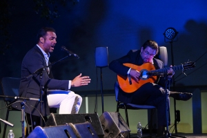 Tomares vive su Gran Noche Flamenca con la 48 edici&oacute;n de su festival