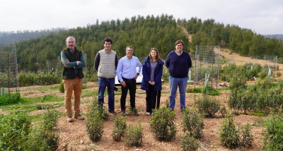Surtruck compensa parte de su huella de carbono con la reforestación de una finca en la provincia de Huelva