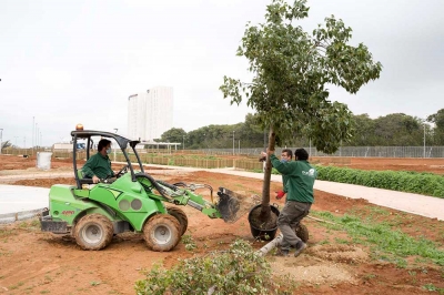 Plantaci&oacute;n de los primeros &aacute;rboles en la zona norte del Parque Central de Mairena del Aljarafe