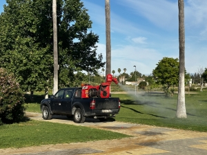 Coria del R&iacute;o comienza la fumigaci&oacute;n en las zonas verdes para reducir la presencia de mosquitos