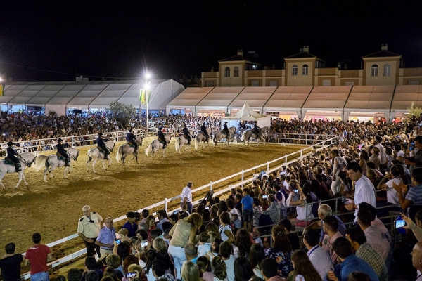 El s&aacute;bado 8 de octubre llega a La Par&aacute; de Gines el espect&aacute;culo &lsquo;C&oacute;mo bailan los caballos andaluces&rsquo;