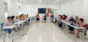 El Pleno aprueba pedir a la Diputaci&oacute;n un estudio de viabilidad previo al arreglo de la carretera SE-3402 que une Castilleja de la Cuesta con Castilleja de Guzm&aacute;n