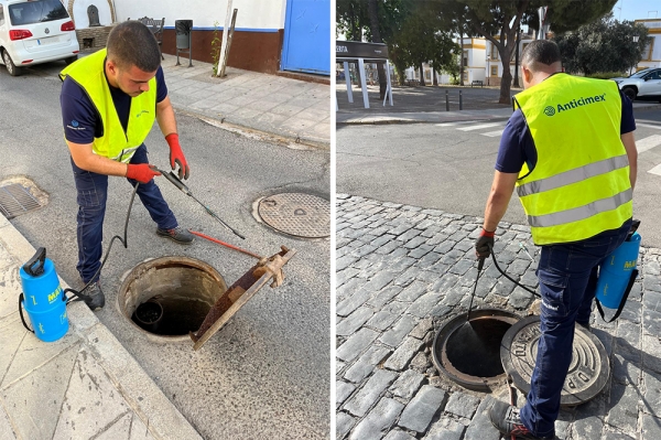 Palomares del R&iacute;o intensifica los tratamientos contra el&nbsp;mosquito&nbsp;de la Fiebre del&nbsp;Nilo&nbsp;