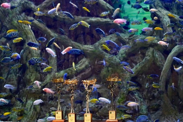 La Confederaci&oacute;n de Empresarios de Sevilla y la Diputaci&oacute;n convocan una nueva edici&oacute;n de los Premios de Responsabilidad Social Empresarial y Sostenibilidad