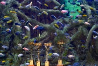 La Confederaci&oacute;n de Empresarios de Sevilla y la Diputaci&oacute;n convocan una nueva edici&oacute;n de los Premios de Responsabilidad Social Empresarial y Sostenibilidad