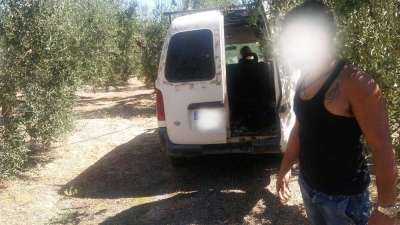 Detenidas ocho personas como presuntas autoras de varios hurtos de aceitunas en El Aljarafe