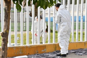 Tomares abre el plazo de solicitud hasta el 2 de diciembre para el programa de prevenci&oacute;n de la exclusi&oacute;n social (Plan Act&uacute;a)
