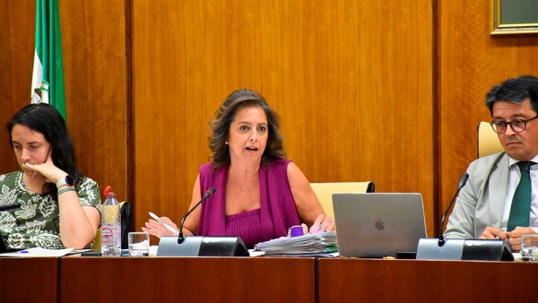 La Junta pone en marcha nuevas mediciones de la calidad del aire en la barriada Guadalquivir de Coria del R&iacute;o