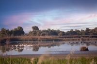 Coria del R&iacute;o aprueba su plan de biodiversidad y se posiciona como referente clim&aacute;tico en el entorno del Guadalquivir