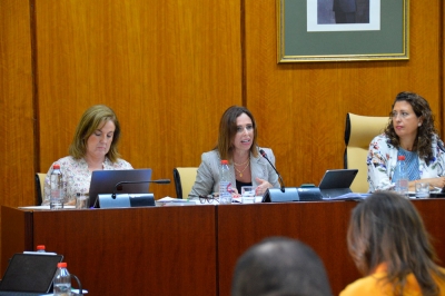 Arrancan las obras de los dos carriles BUS-VAO que facilitar&aacute;n los accesos a Sevilla desde el Aljarafe