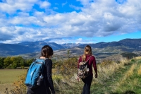 El camino de Santiago