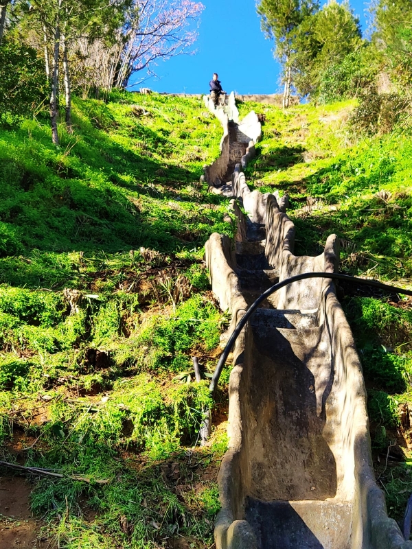 Gelves pone en valor su recurso natural de la cornisa del Aljarafe
