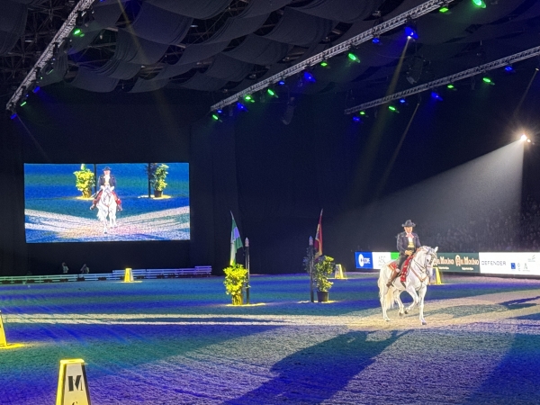 Sevilla inaugura la XXXIII edición del Sicab con caballos de 300 ganaderías de 67 países