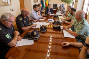 Mairena tiene un &iacute;ndice de delincuencia muy por debajo de la media