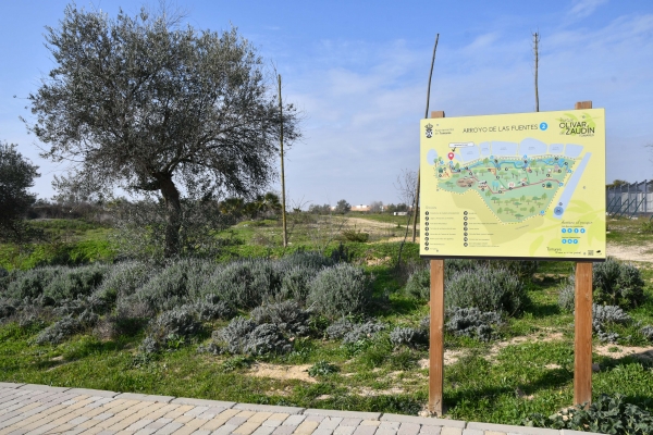El Ayuntamiento de Tomares va a iniciar las obras del Quiosco-Bar del Parque Olivar del Zaud&iacute;n
