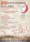 La XIV Noche Flamenca en el Cerro de San Juan de Coria del Río vuelve a ofrecer el mejor espectáculo