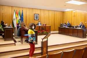El Ayuntamiento de Mairena da cuenta en pleno del nuevo servicio de limpieza