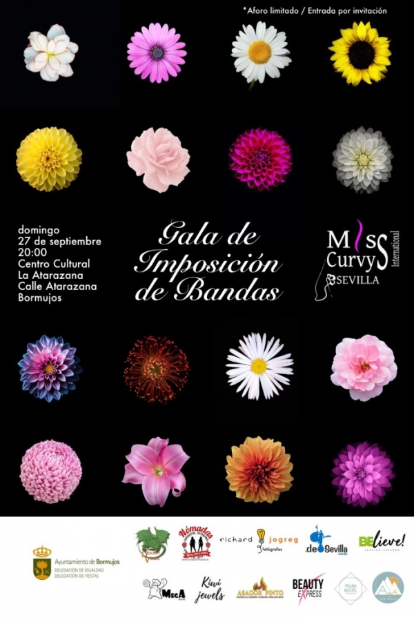 Bormujos acoge la Gala de Presentaci&oacute;n de Miss Curvys Internacional Sevilla
