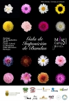 Bormujos acoge la Gala de Presentaci&oacute;n de Miss Curvys Internacional Sevilla